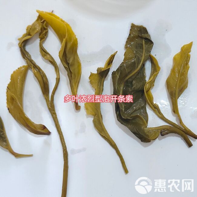 高山老品种绿茶500g浓烈型绿茶来自海拔1860米左右荒野茶