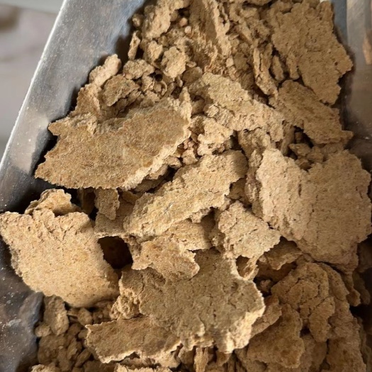 正定县玉米饼玉米皮饼