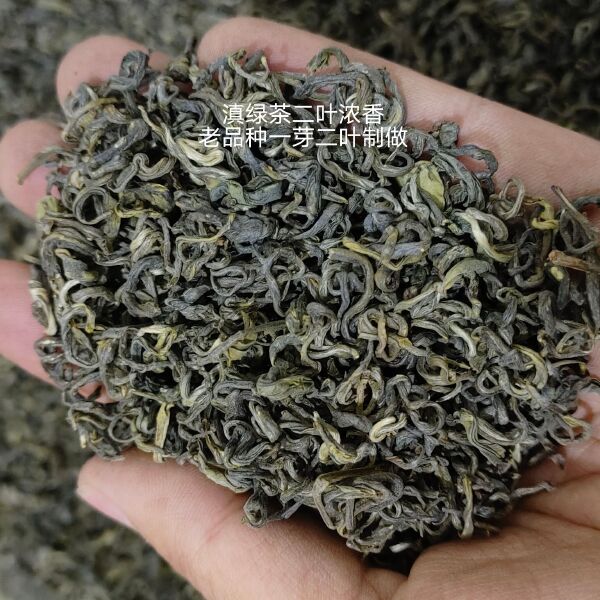 老品种绿茶二叶500g一芽一两叶制做，炒青绿茶高山老品种茶