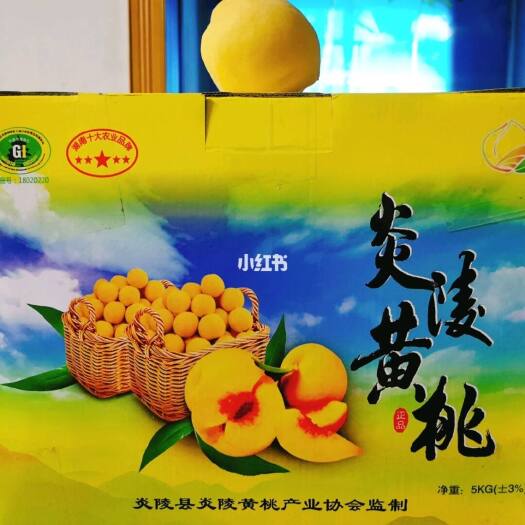 炎陵县炎陵黄桃，一件批发