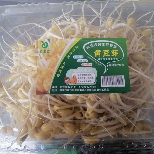 胶州市绿豆芽，黄豆芽