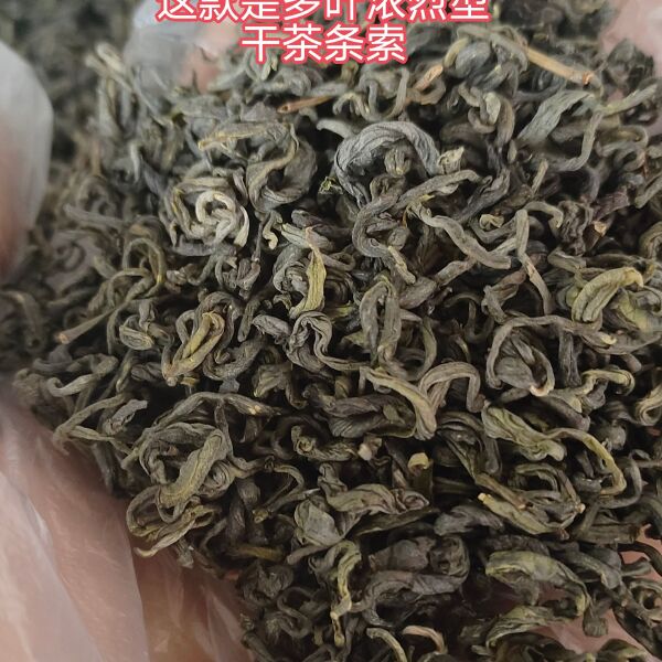 高山老品种绿茶500g浓烈型绿茶来自海拔1860米左右荒野茶