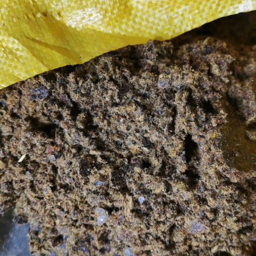 石家庄厂家直销棉籽饼 ！棉籽饼 ！棉籽饼 ！反刍动物可直接喂食