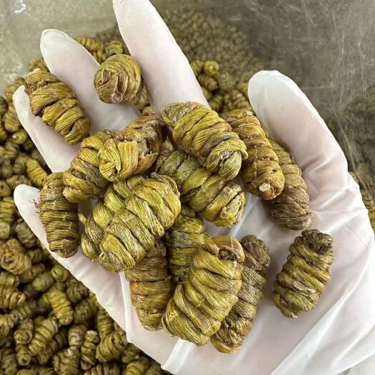 文山市铁皮石斛  石斛枫斗可免费打粉