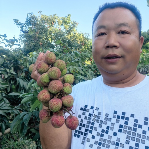 合江县合江荔枝
