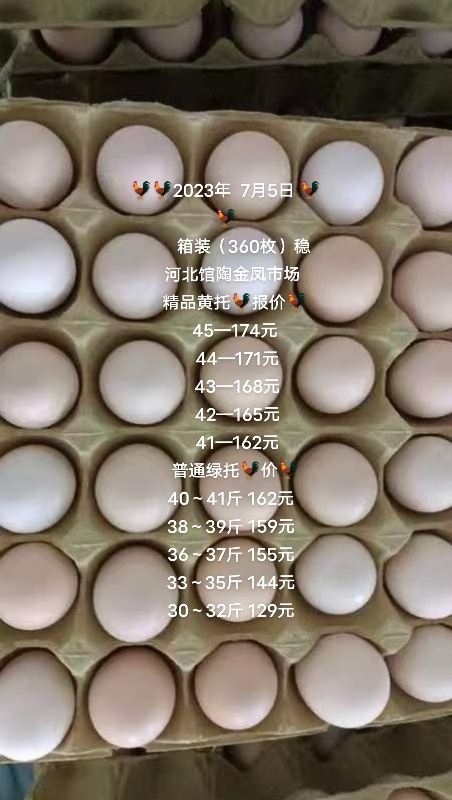 馆陶县大量供应30－41斤普通小码粉蛋，41－45斤精品大码粉蛋