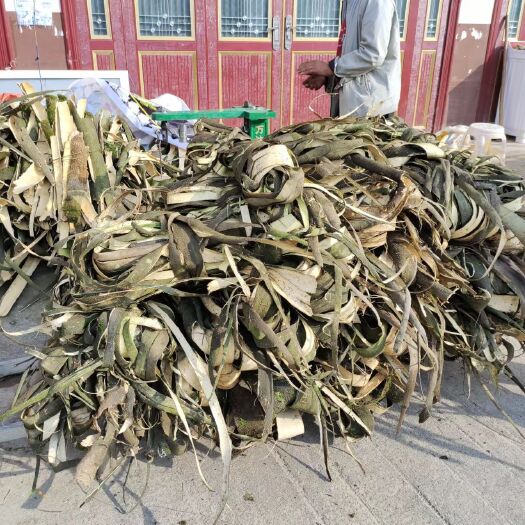 宁波合欢皮现货