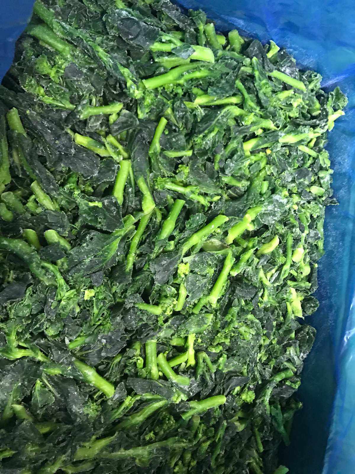 冻菜心  小菜心  马年青  板冻菜心