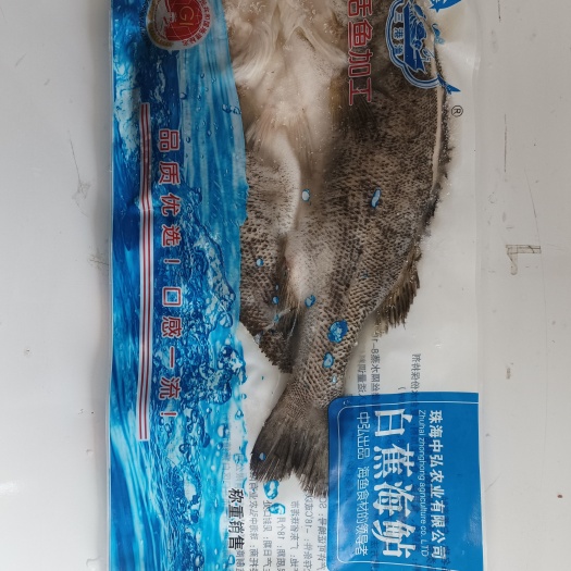 珠海鲜活冰冻白蕉海鲈鱼，质量有保证