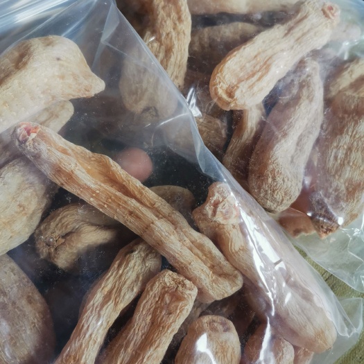 红天麻