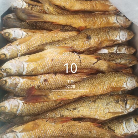 长沙鱼干，火焙鱼、烟薰鱼、刁子鱼，鲮鱼