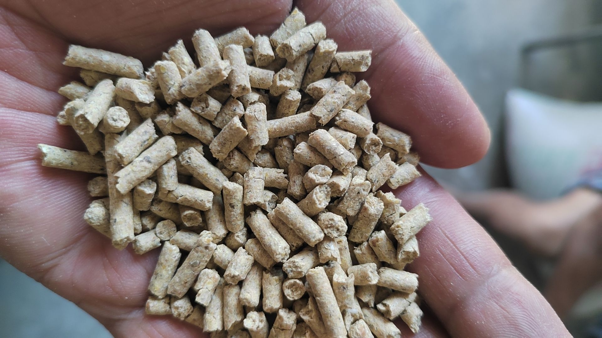 湖南肉鹅全价配合饲料催肥快羽毛整齐厂家直销80斤一包