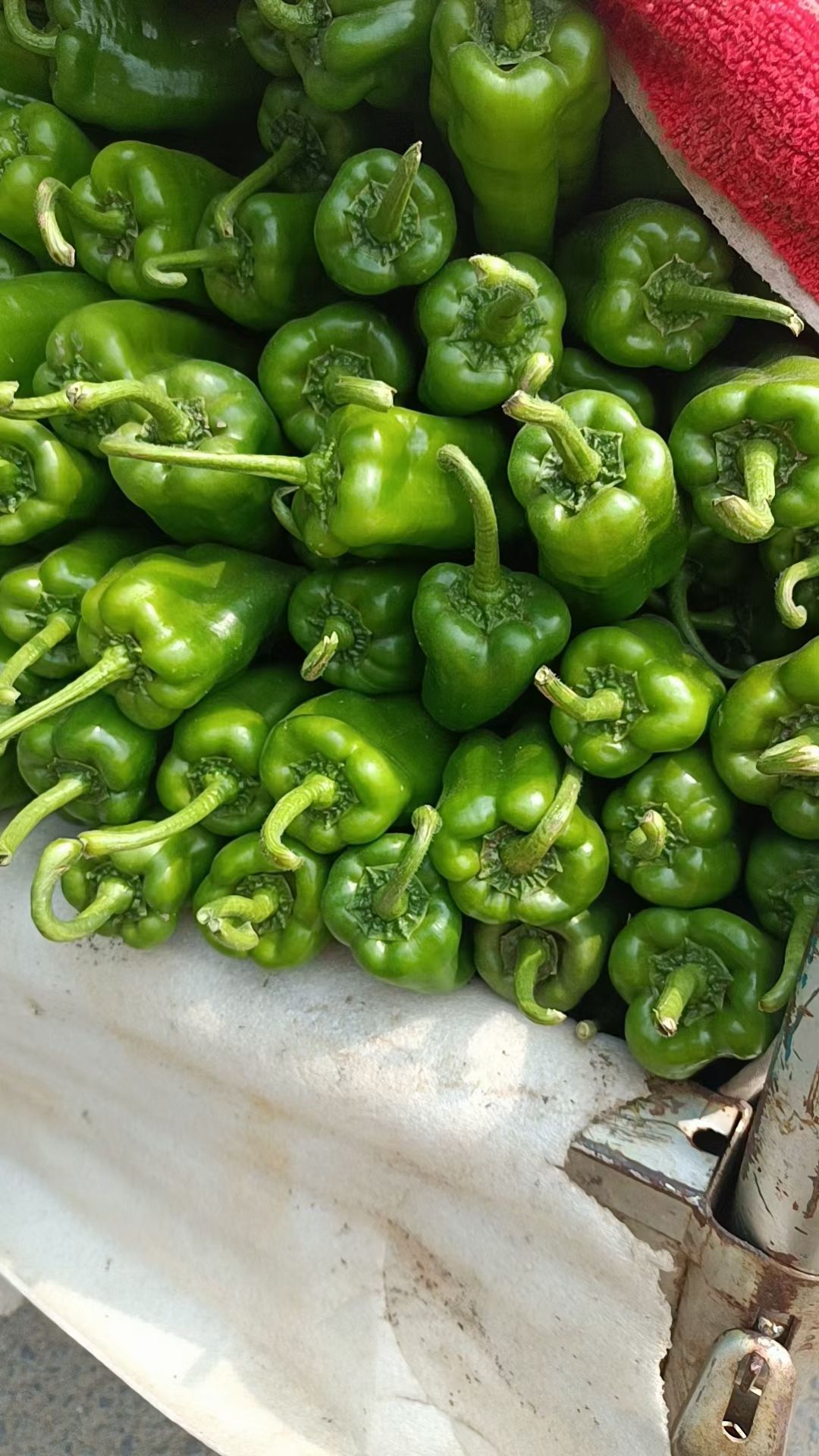 【推荐】产地直供  按需包装  诚信经营，合作共赢！