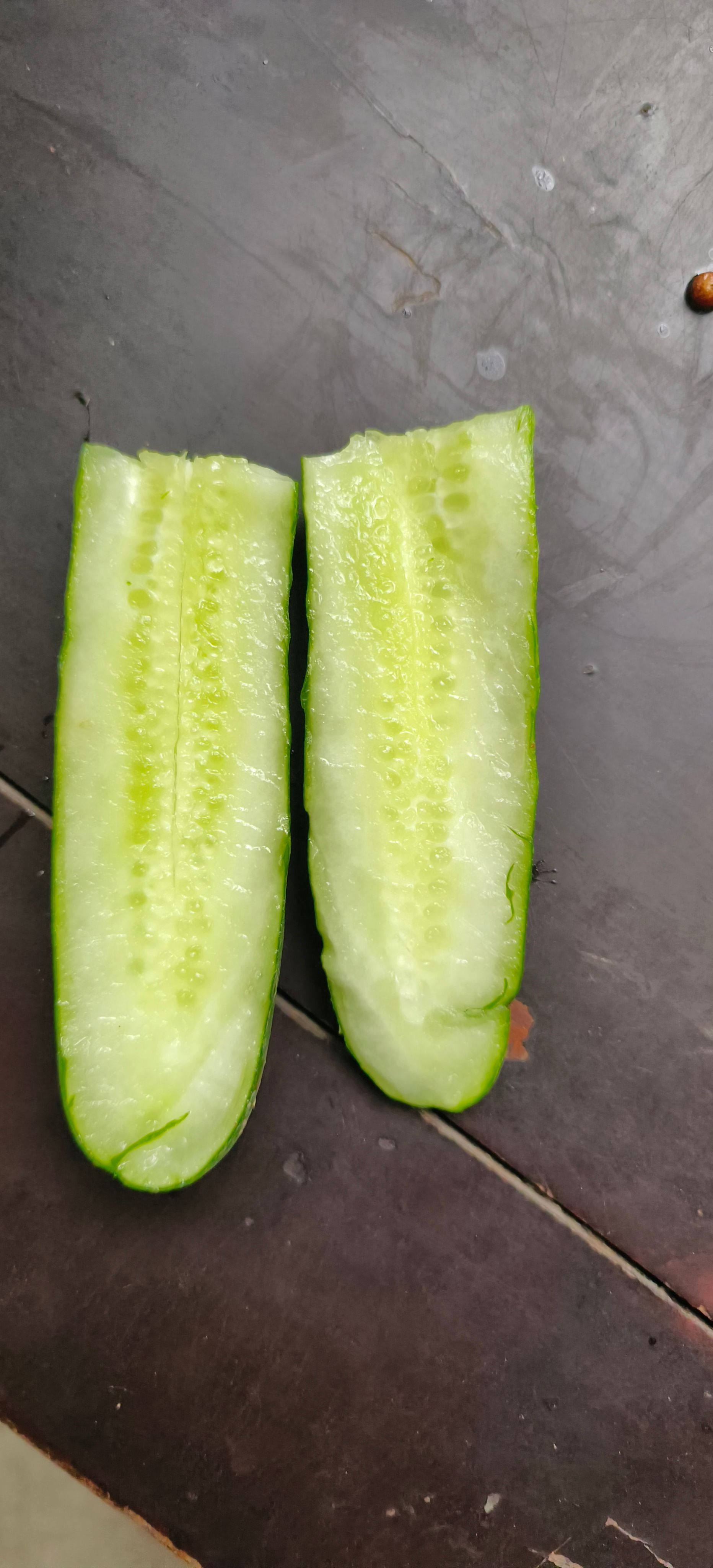 旱黄瓜 燕白黄瓜。产地直发 现摘现发 欢迎来电咨询