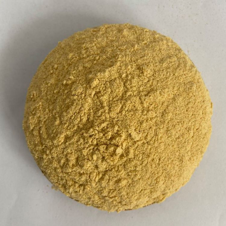 50%脱酚棉籽蛋白