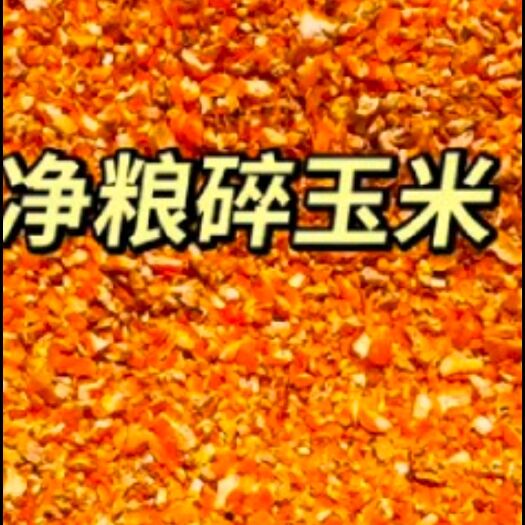 尚志市黄玉米粒