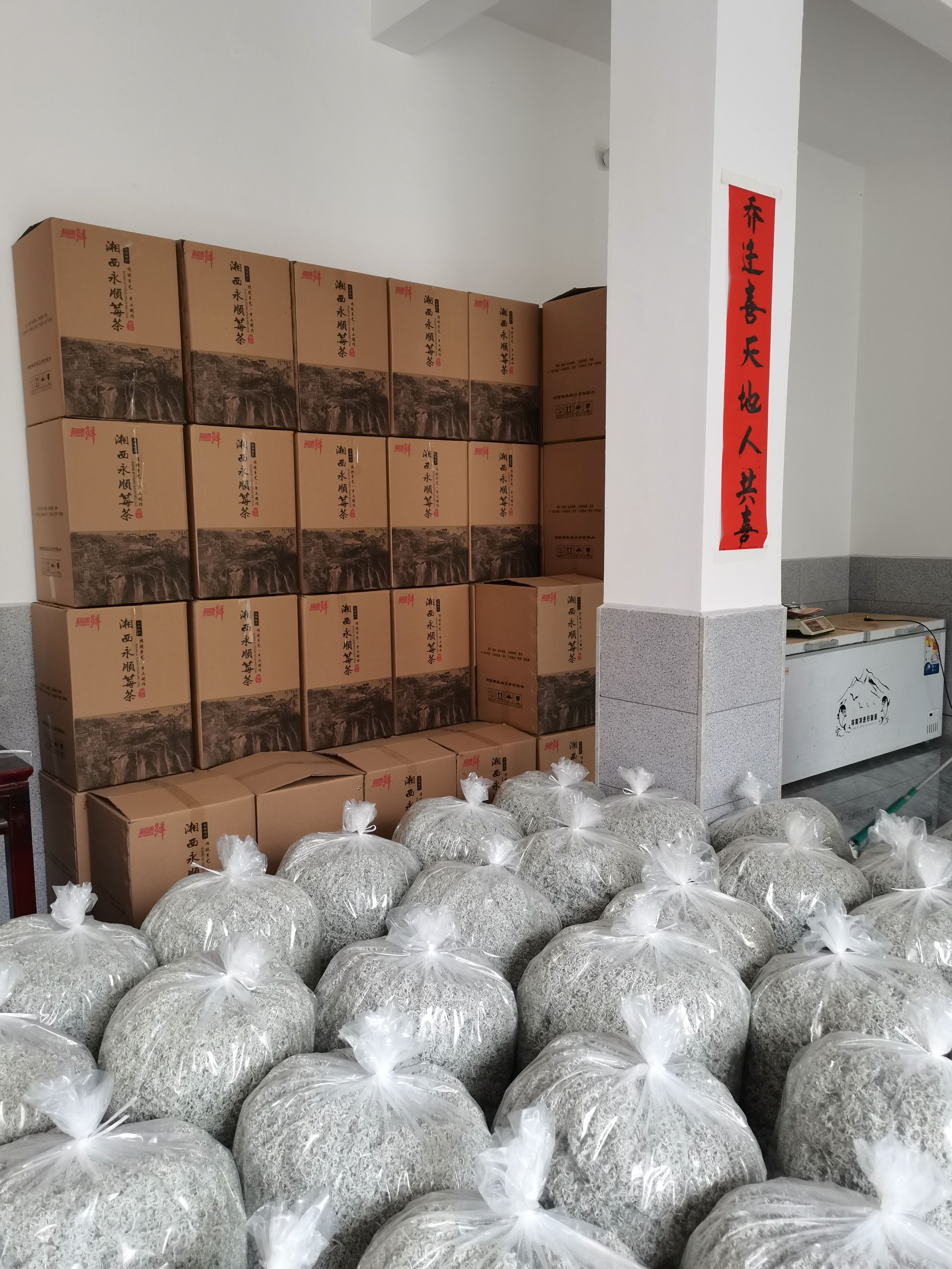 湘西永顺张家界排3以内清明高品质芽头莓茶（藤茶恩施富硒茶，