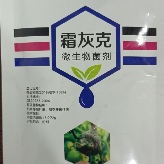 郑州霜灰克