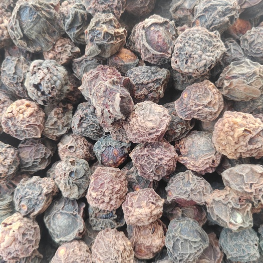 双柏县乌梅