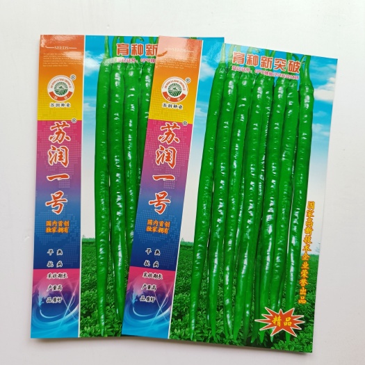 沭阳县辣椒种子苏润一号线椒种子早熟绿色长果条椒抗性好产量高线椒种子
