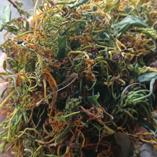 秀山山银花