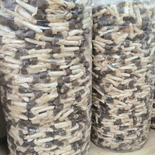 织金县竹荪 天麻 羊肚菌不断的更新产品的质量，满足客户的需求，