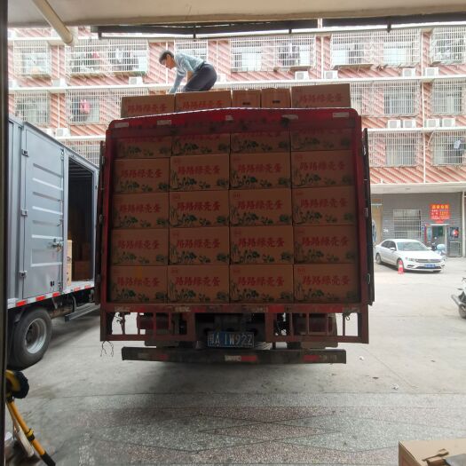 长沙县路路绿壳蛋  420个的大绿