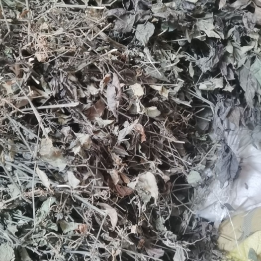 红丝线