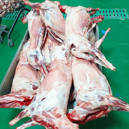 呼和浩特羊肉，羊骨