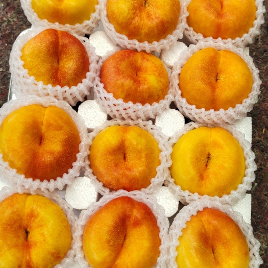 蒙阴县黄油蟠桃