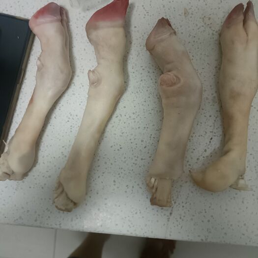 郑州羊蹄，大中小号都有，纯干不抽筋，纯白蹄，质量好，一手货源