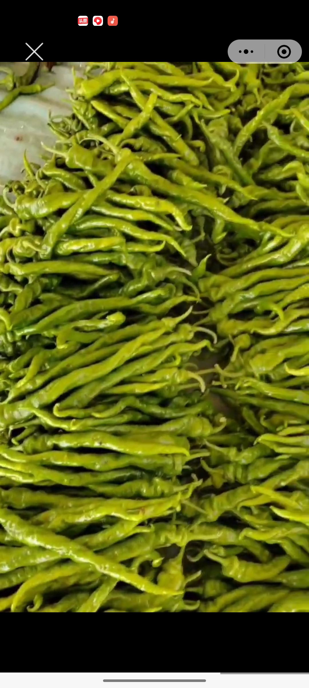 红黄彩椒，太空椒，螺丝椒，黄皮尖椒大量上市