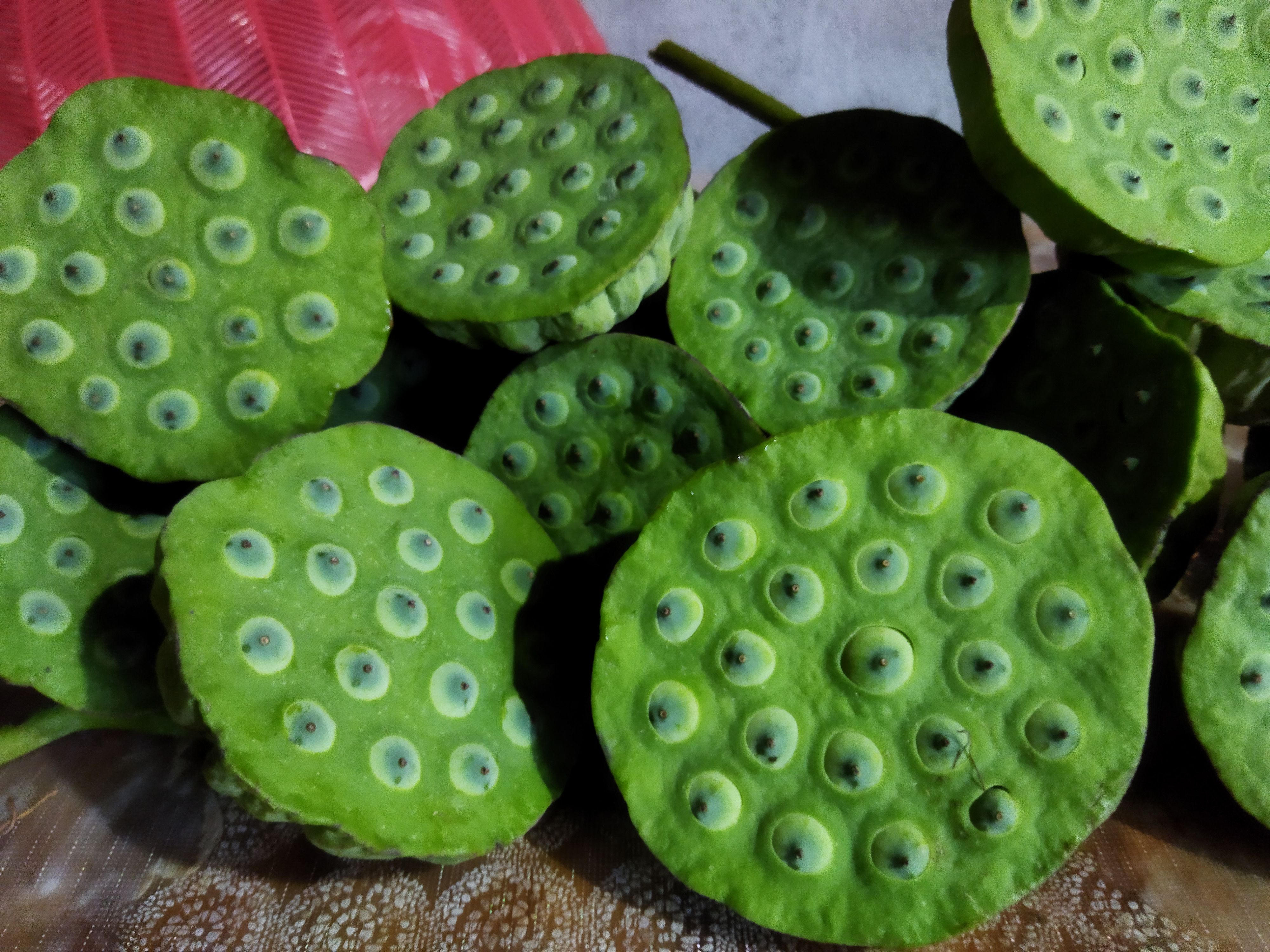 麻莲子，′水果莲