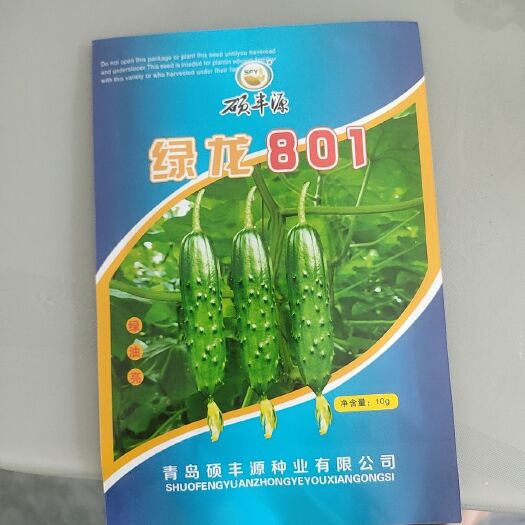 郑州蔬菜种子水果黄瓜种子，密刺翠绿瓤口好
