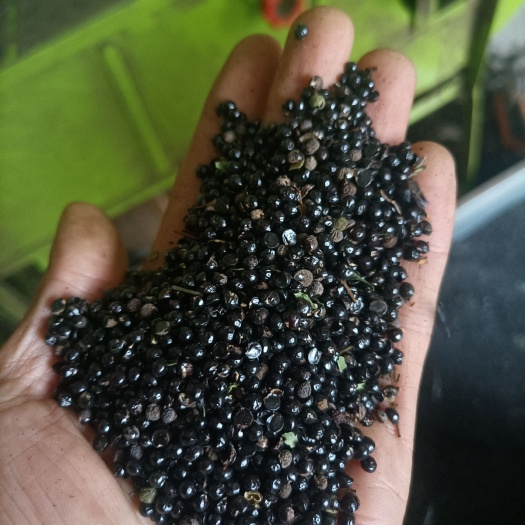 花椒籽，毛货，可代打成粉，鸡，鸭，猪，可直接混合使用，