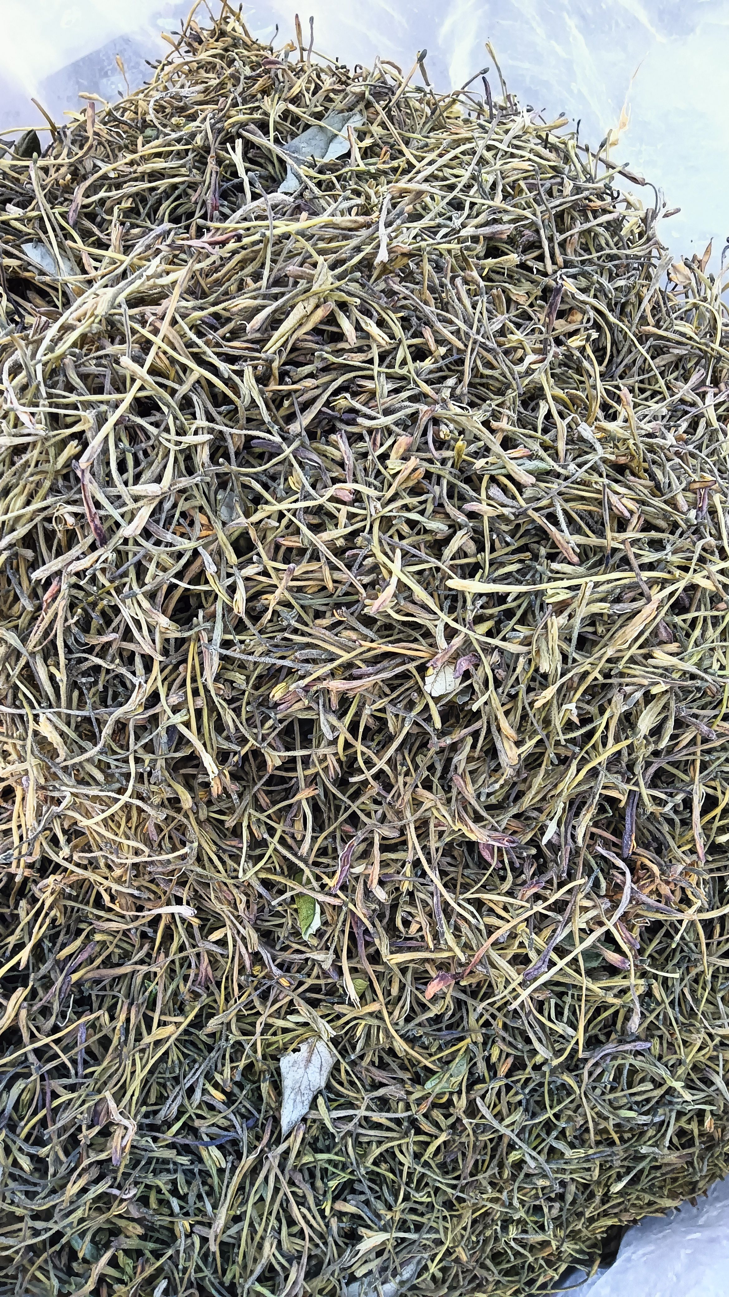 金银花选货大量上市懂得下手