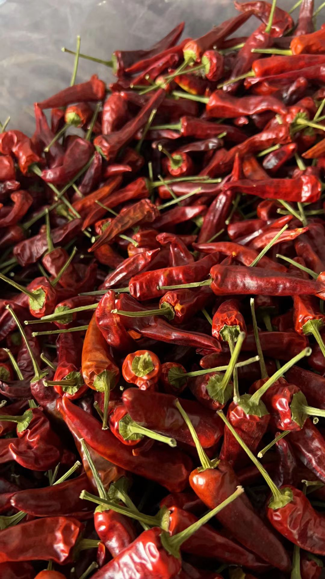 福建辣椒王干辣椒农家特辣特香朝天椒卤菜鸭脖厚耐