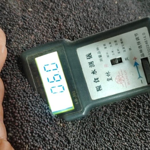 罗平县油菜籽