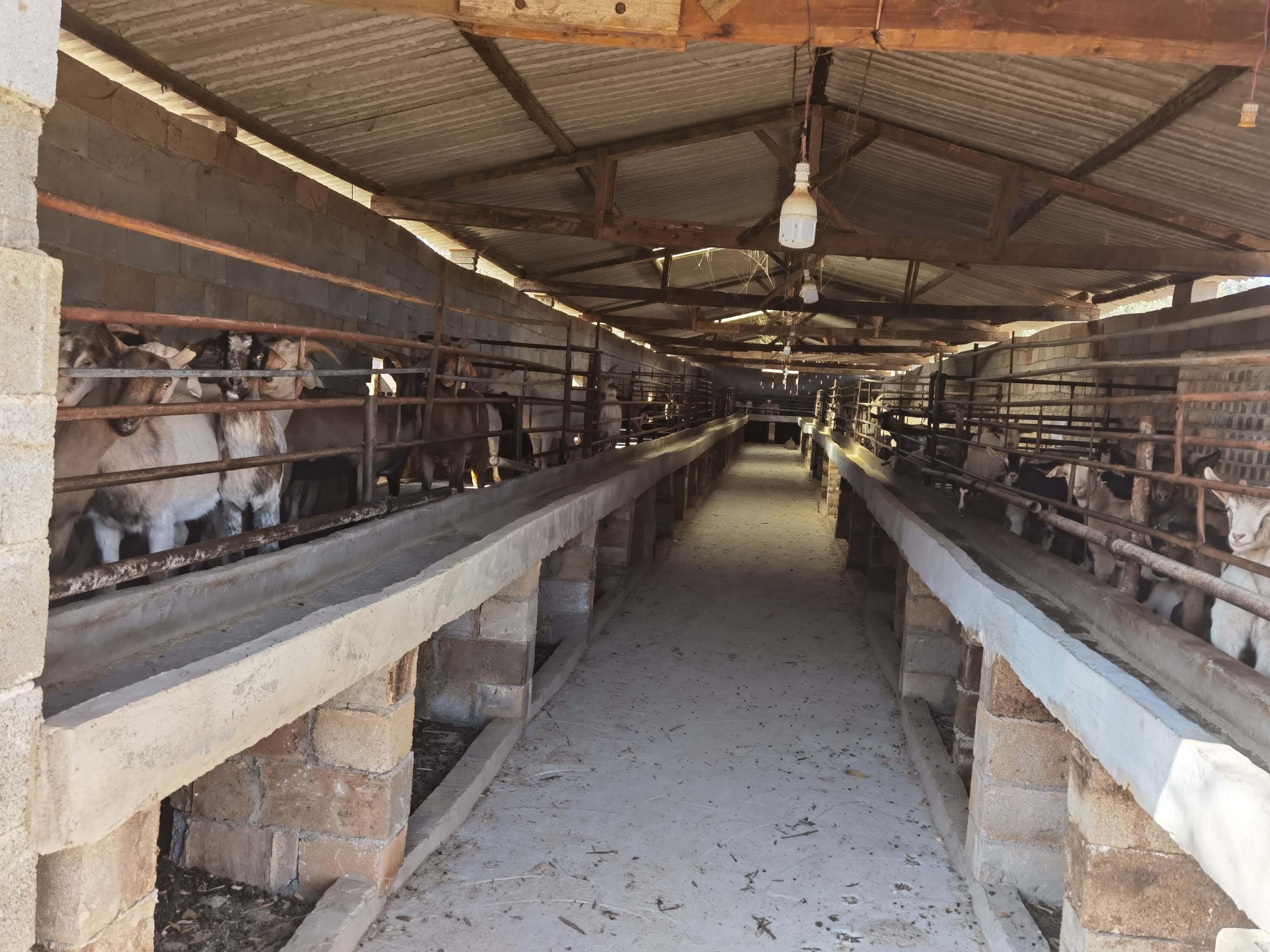 农场转让 可种植 可养殖 接手就有收益