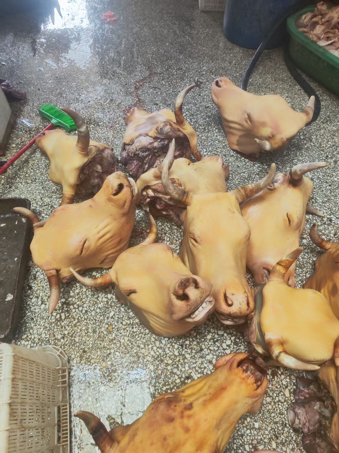 火烧毛牛头，牛气冲天，牛头宴