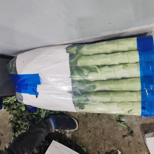香格里拉云南香格里拉莴笋，毛菜，半净菜，精包装，光杆，欢迎合作订购，