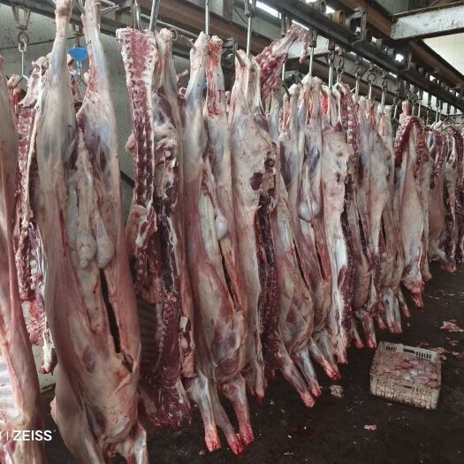 河间市本地育肥羊肉卷