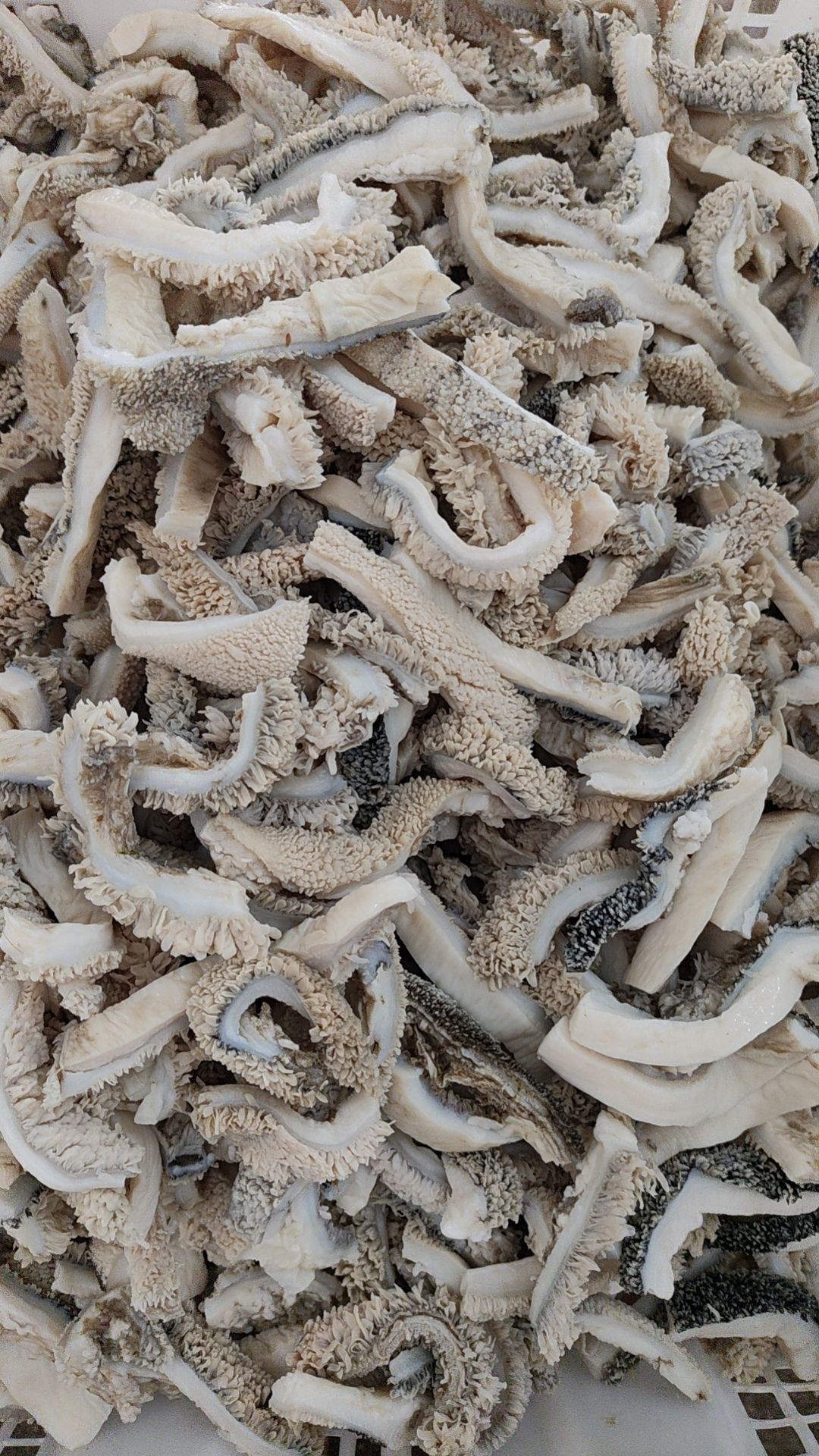 牛肚丝 熟土黄牛牛肚丝 纯干货 新鲜加工