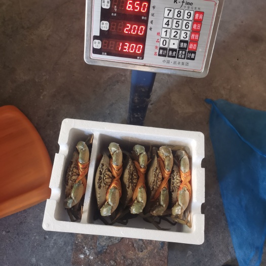 三门县三门青蟹自产自销
