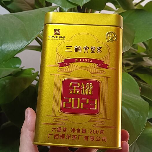 黑茶六堡茶金罐2023