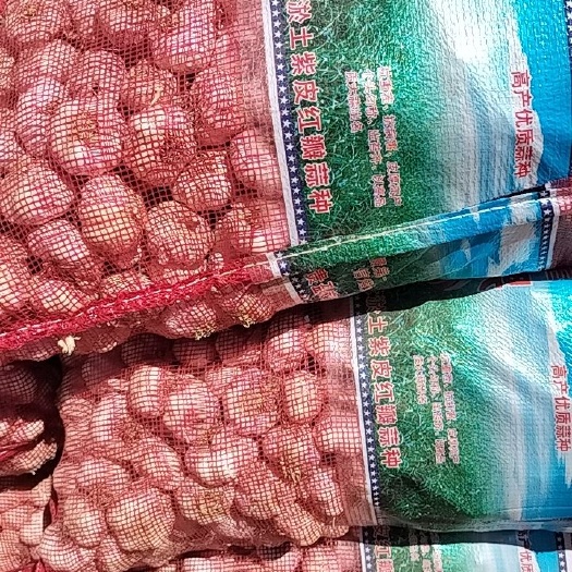 大名县大蒜大名主产区
