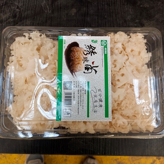 天津秀球菌