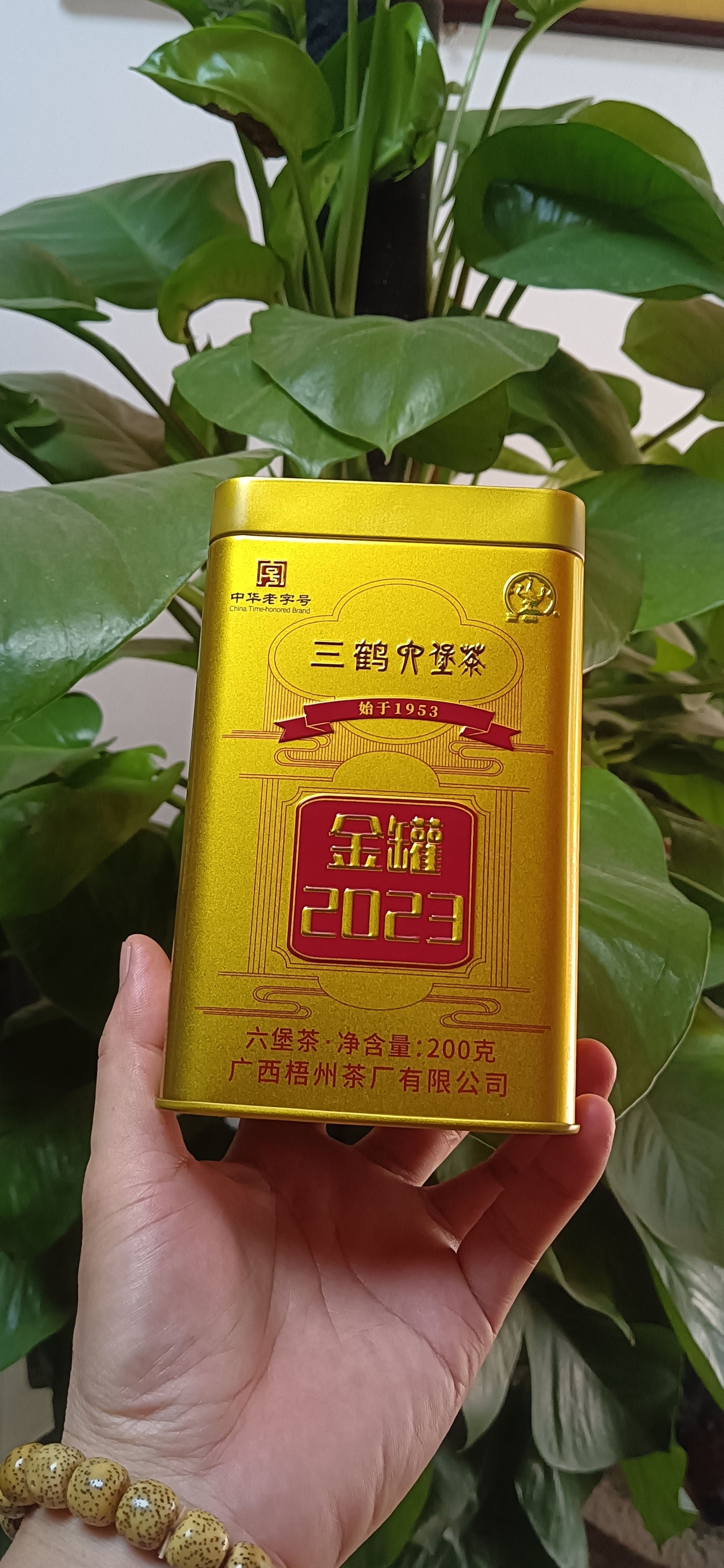 六堡茶