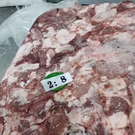 母猪正二八