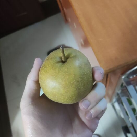 永兴县翠冠梨水分足，口感细腻，甜度自测也有14-15左右。